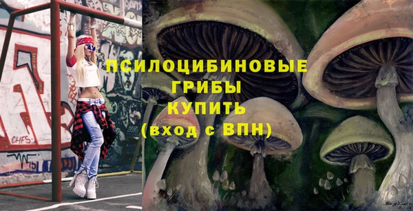 mdpv Богданович