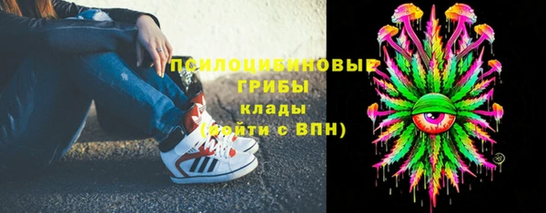 амф Снежинск