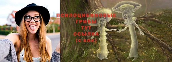 mdpv Богданович