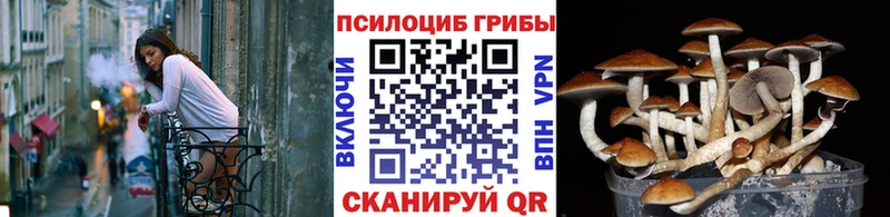 купить наркоту  kraken сайт  Псилоцибиновые грибы Magic Shrooms  Красноармейск 
