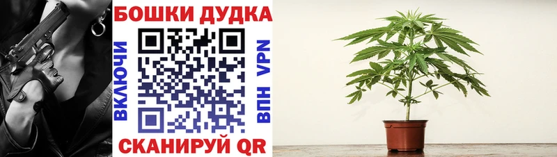 Конопля THC 21%  Красноармейск 